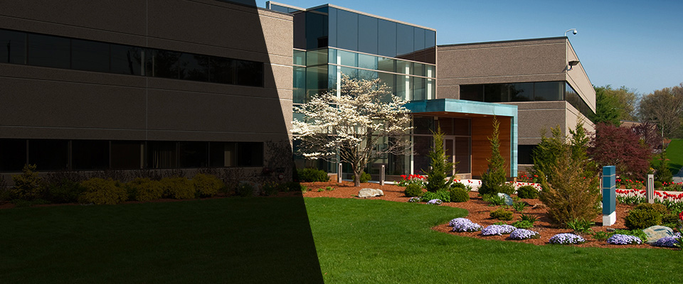 Earlimart Landscapers