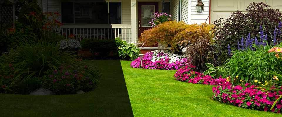 Earlimart Landscapers
