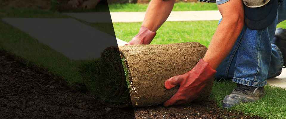 Earlimart Landscapers